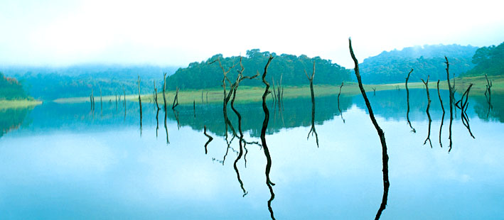 Thekkady Periyar Lake