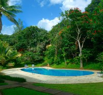 Thekkady Green Forest Swimming