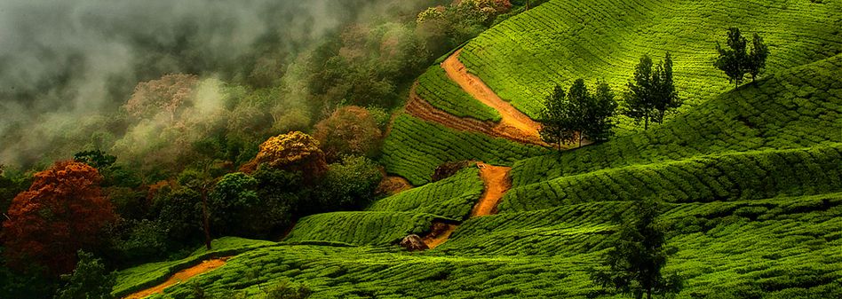 Munnar Banner