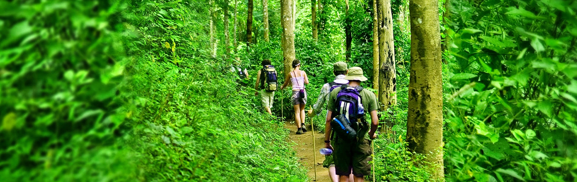 Mukteshwar Chauli Ki Jali Trek 1