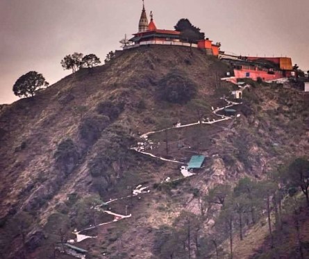 Z Kasauli Monkey Point